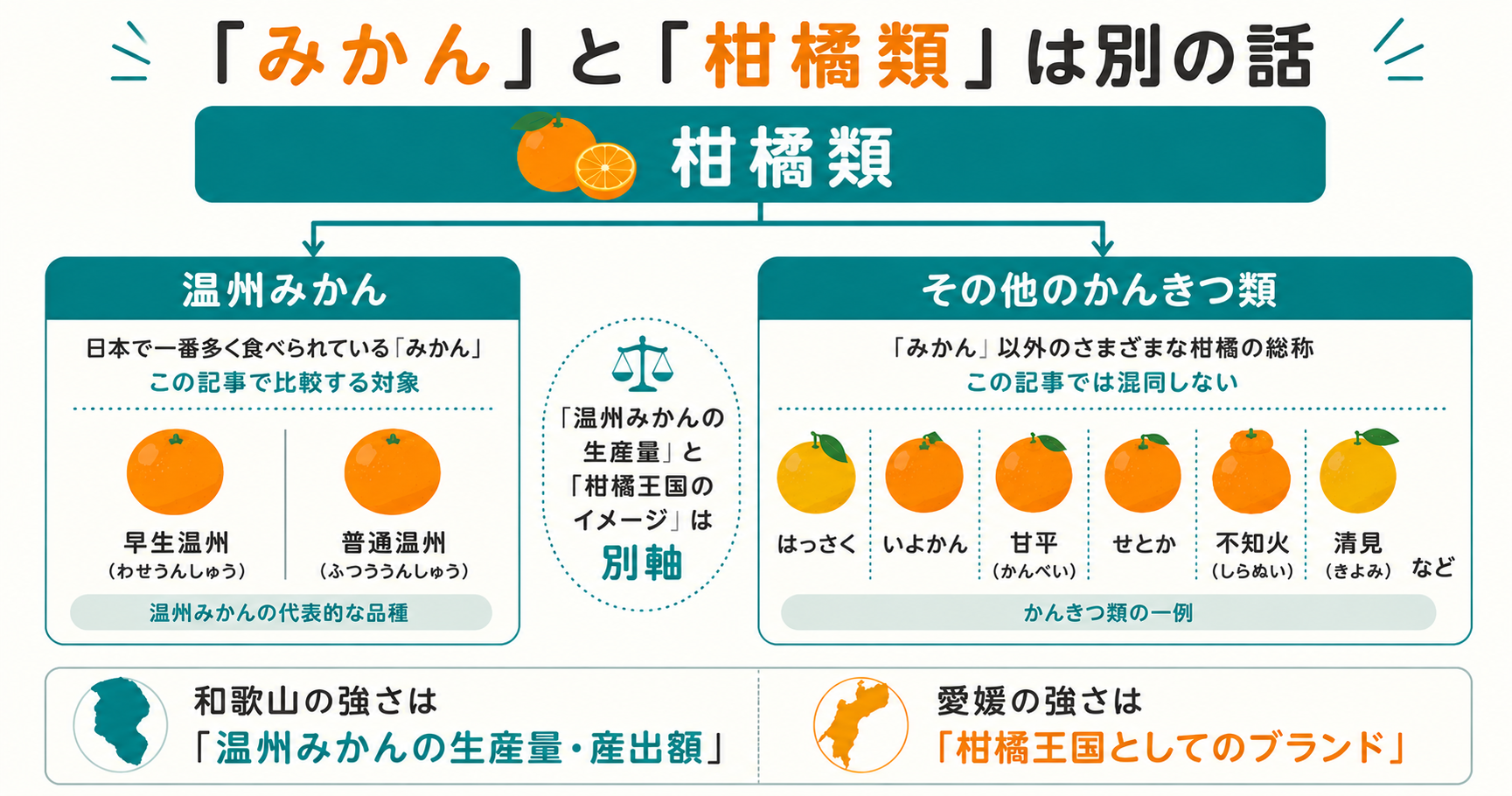 温州みかんとその他のかんきつ類の違いを整理した図解
