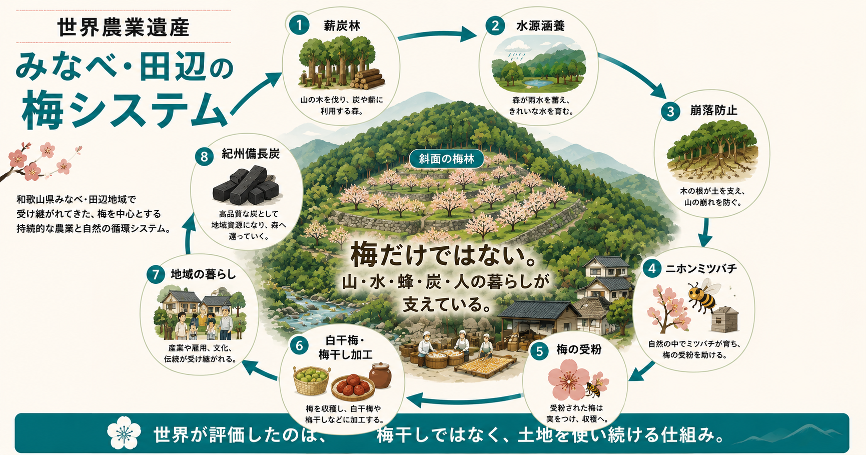 世界農業遺産みなべ・田辺の梅システムの循環構造を示す図解