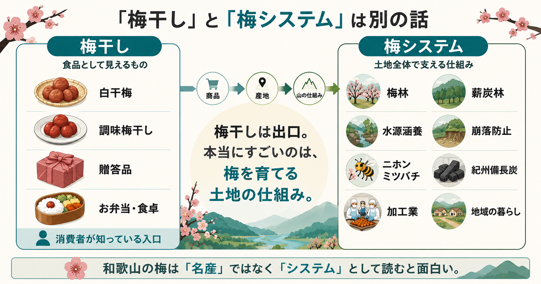 梅干しと梅システムの違いを示す図解